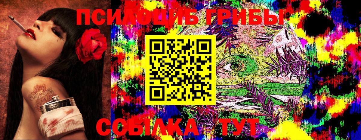 Советская Гавань  Псилоцибиновые грибы мухоморы  Вход с VPN 