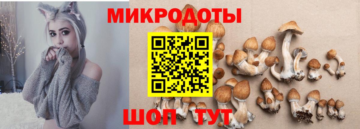 Псилоцибиновые грибы мухоморы Советская Гавань